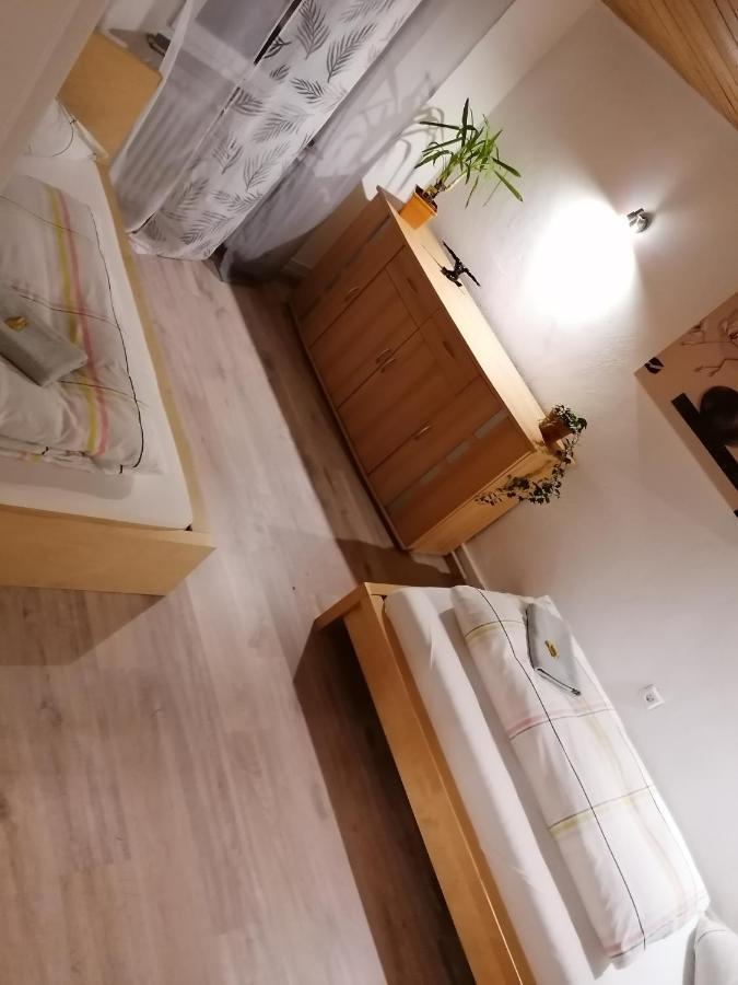Schrammi'S Ferienwohnung Schwanau Dış mekan fotoğraf